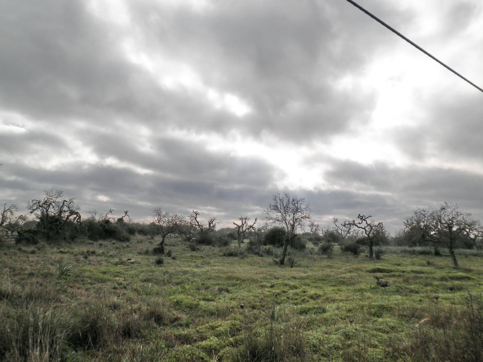 Precioso terreno cerca de Santanyi