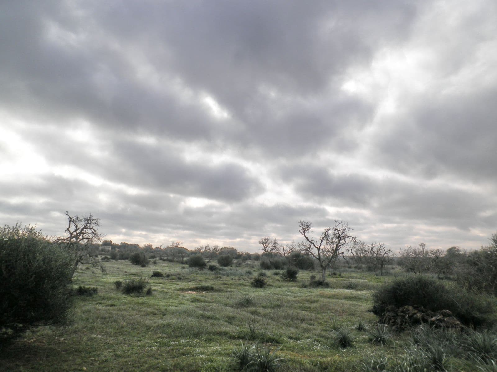 Grundstuck bei Santanyi – foto 2