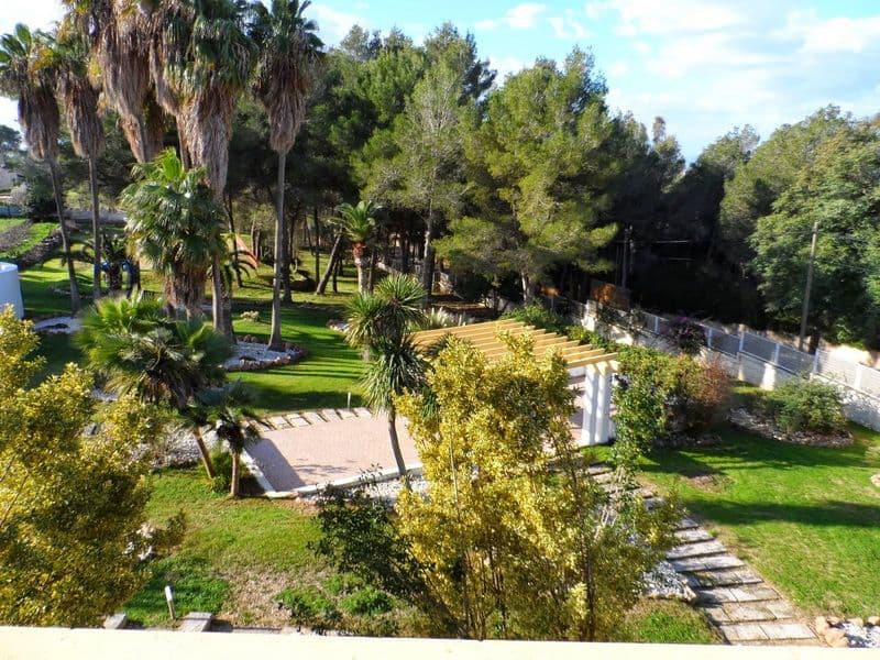 Finca con vistas, a pocos minutos de Palma. – foto 4