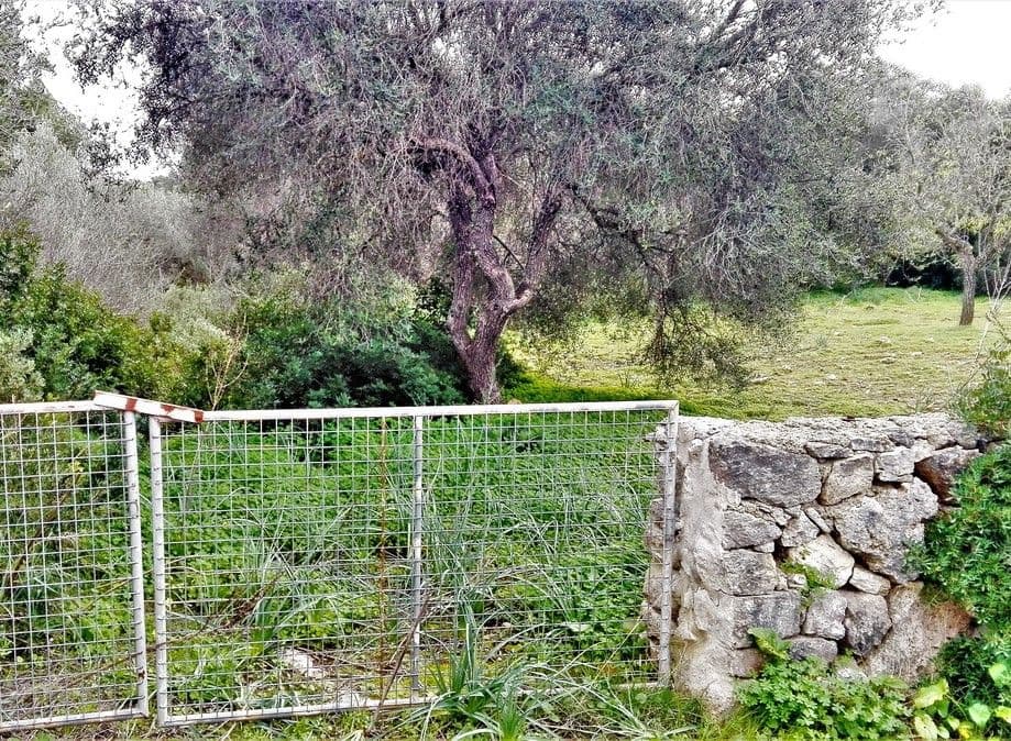 Bonito terreno entre Alqueria Blanca y Porto Petro – foto 4