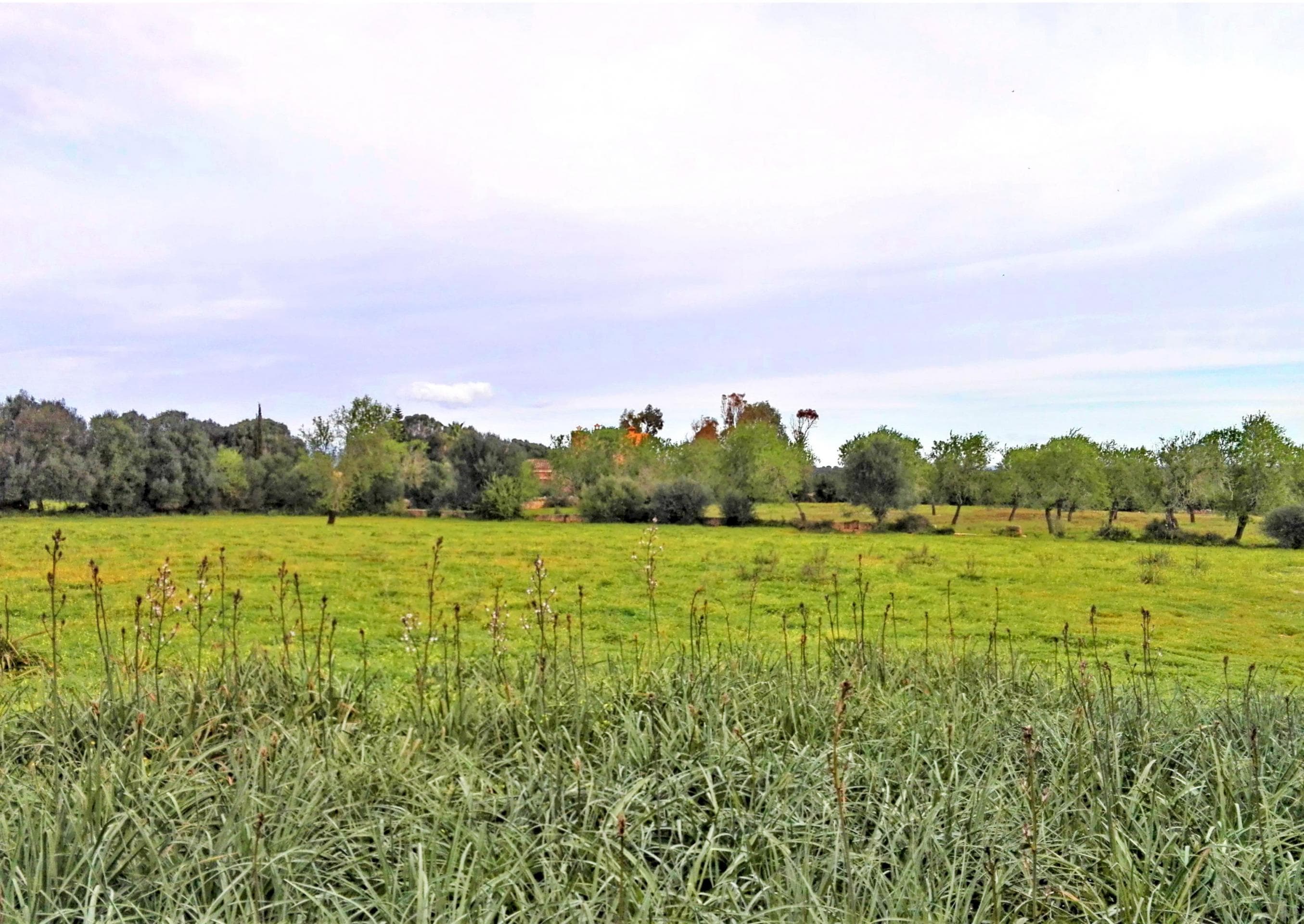 Terreno en zona muy tranquila entre Campos y Cas Concos