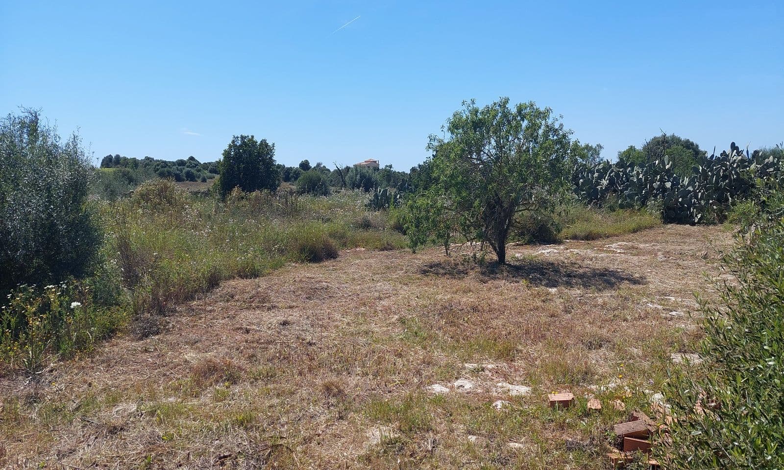 Schönes Landhaus zum Wiederaufbau in Es Llombards – foto 4