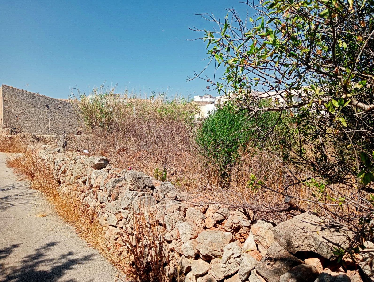 Solar urbano en Santanyí – foto 4