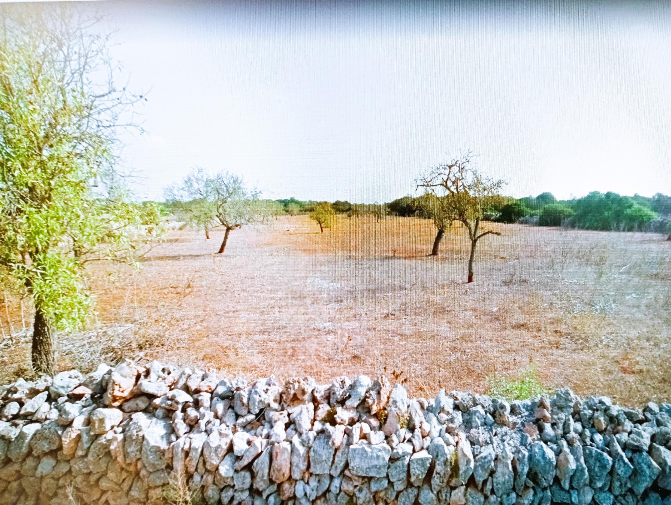 Luxuriöser Landhaus Neubau mit Pool zum Erstbezug – foto principal