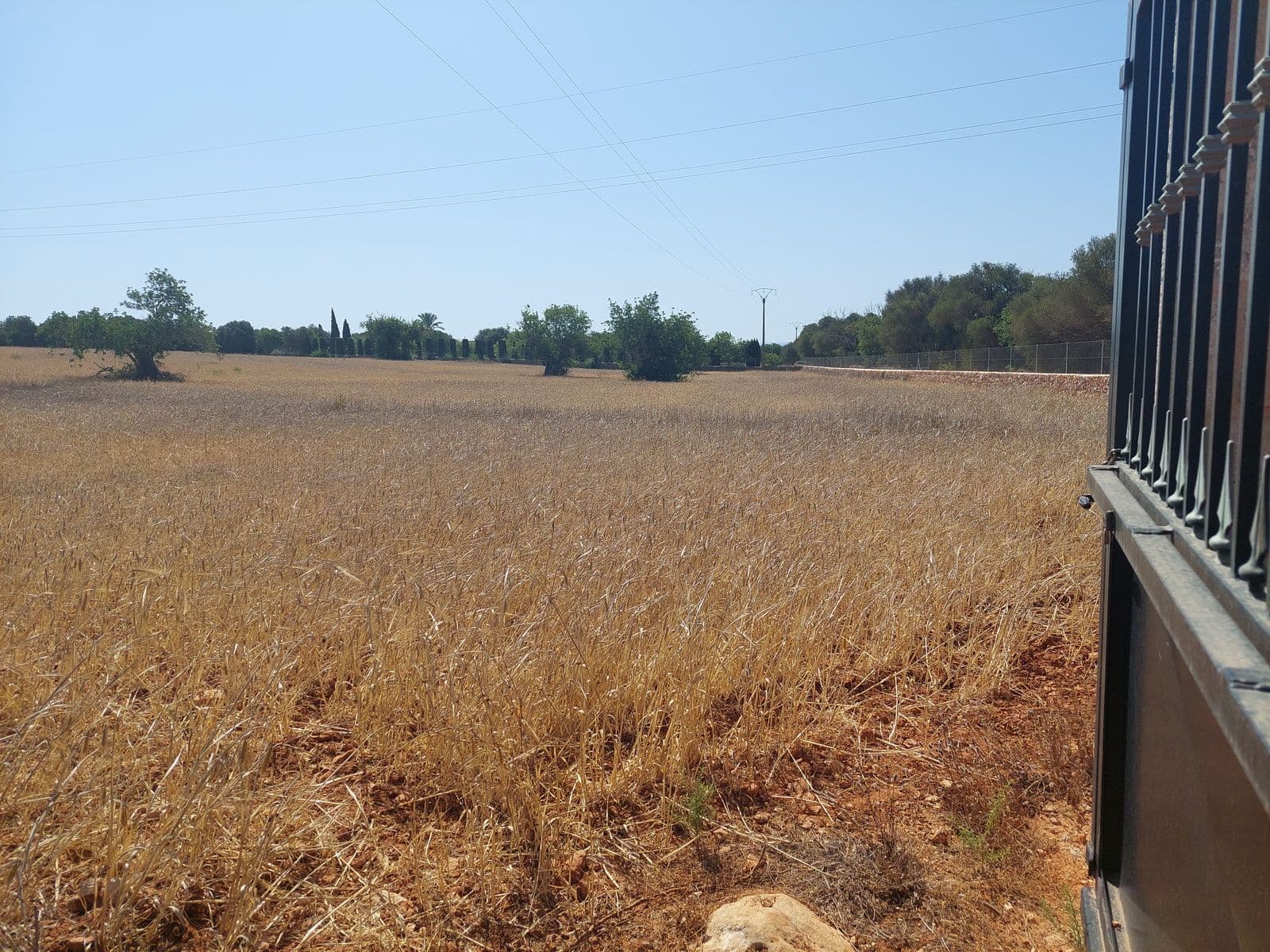 Très beau terrain près de Consolació – foto 5