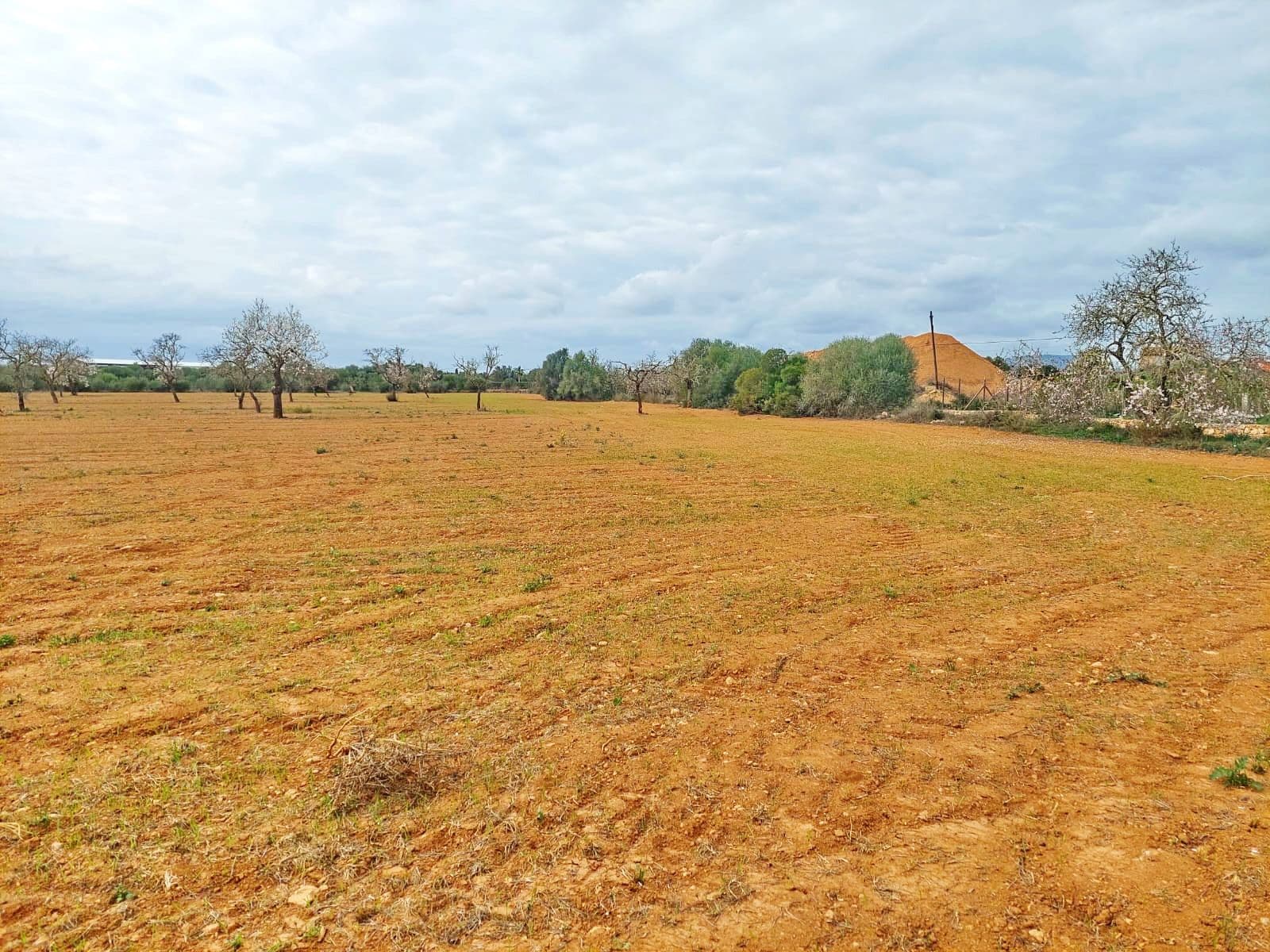 Terreno Excepcional de 15.380 m² Cerca de Campos, Mallorca