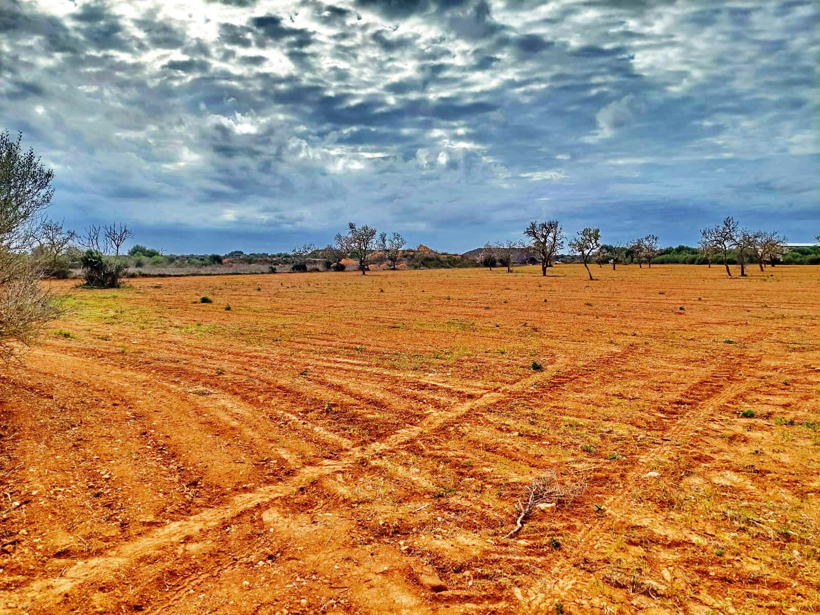Außergewöhnliches Grundstück von 15.380 m² in der Nähe von Campos, Mallorca – foto 2