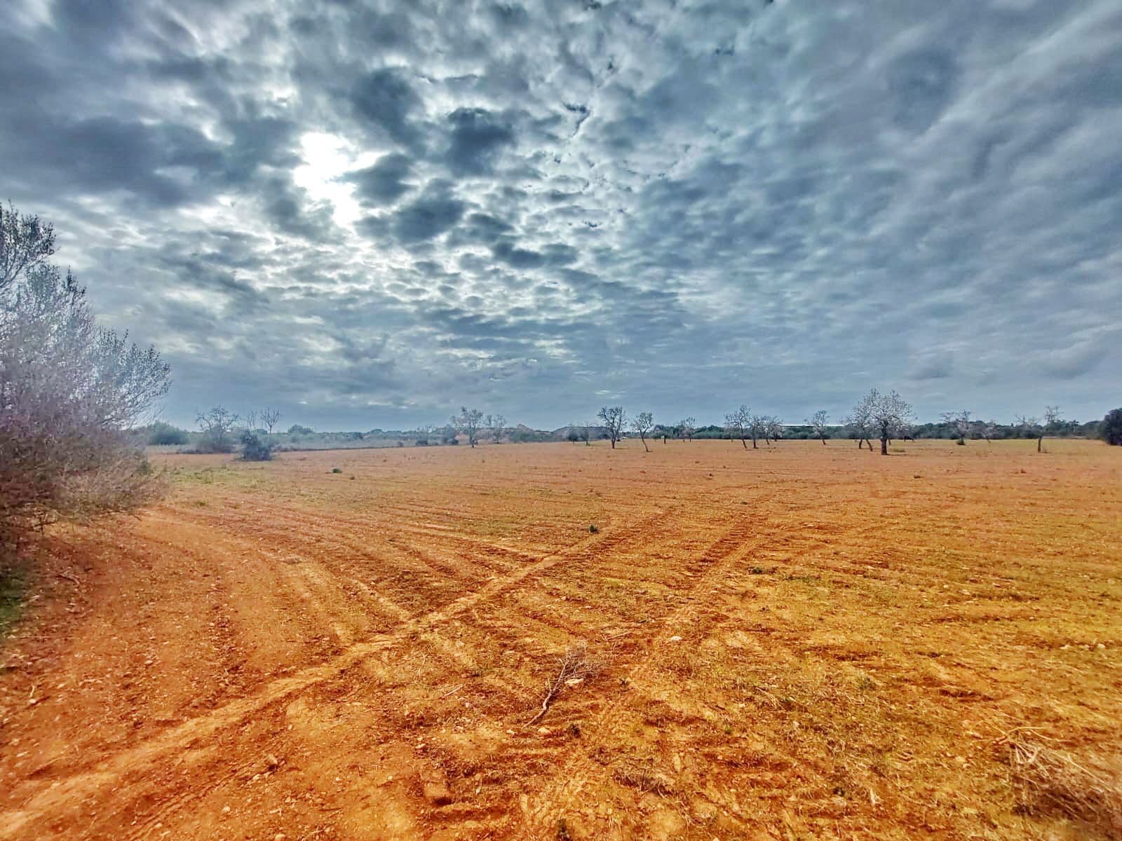 Außergewöhnliches Grundstück von 15.380 m² in der Nähe von Campos, Mallorca – foto 3