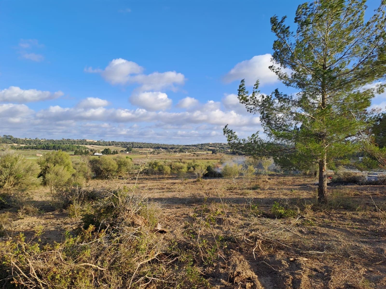 Espectacular terreno cerca de Porreres – foto 2