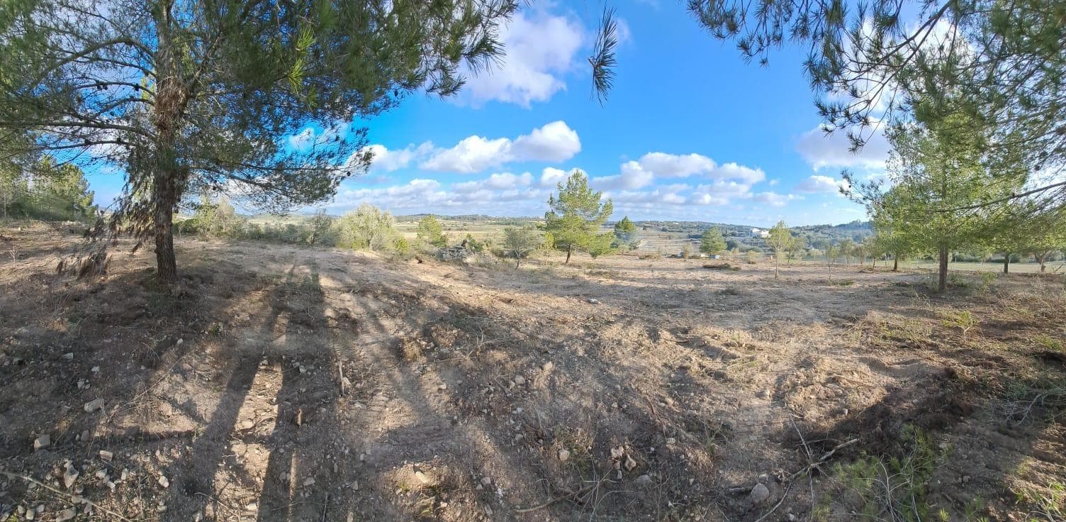 Espectacular terreno cerca de Porreres – foto 3