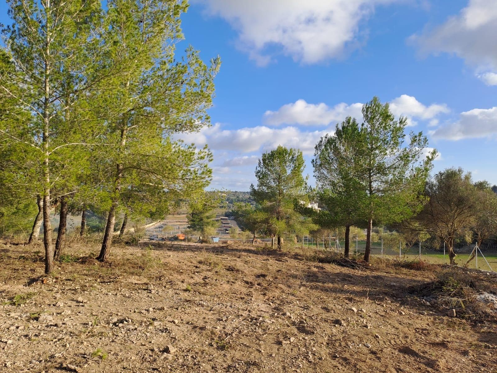 Espectacular terreno cerca de Porreres – foto 4