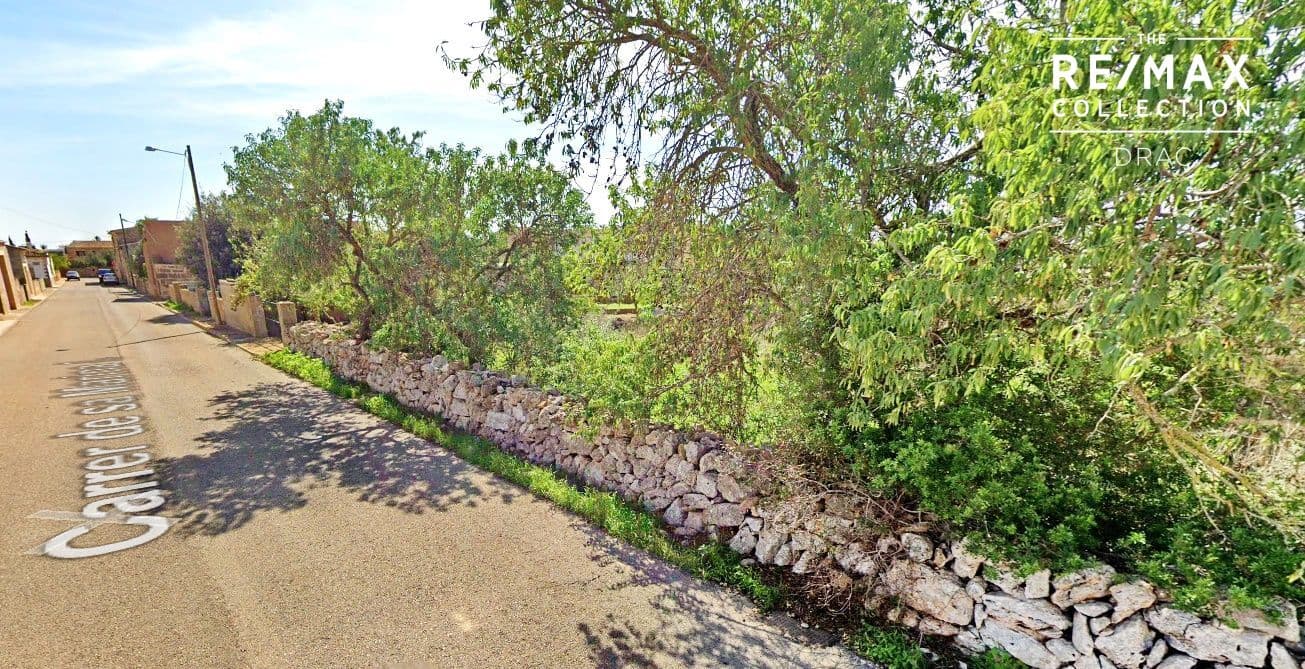 Gran  solar urbano en zona tranquila Es Llombards – foto 2