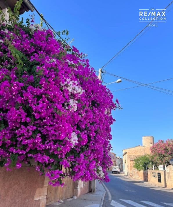 Gran  solar urbano en zona tranquila Es Llombards – foto 3