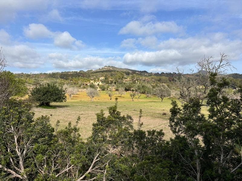 Exclusive Plot in the Hills of S’Alqueria Blanca, Santanyí – foto 2