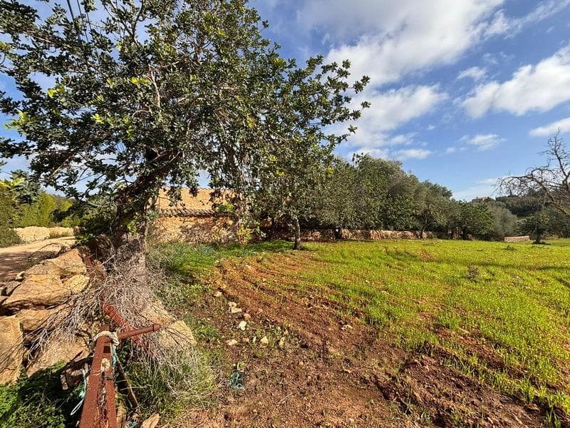 Exclusive Plot in the Hills of S’Alqueria Blanca, Santanyí – foto 3