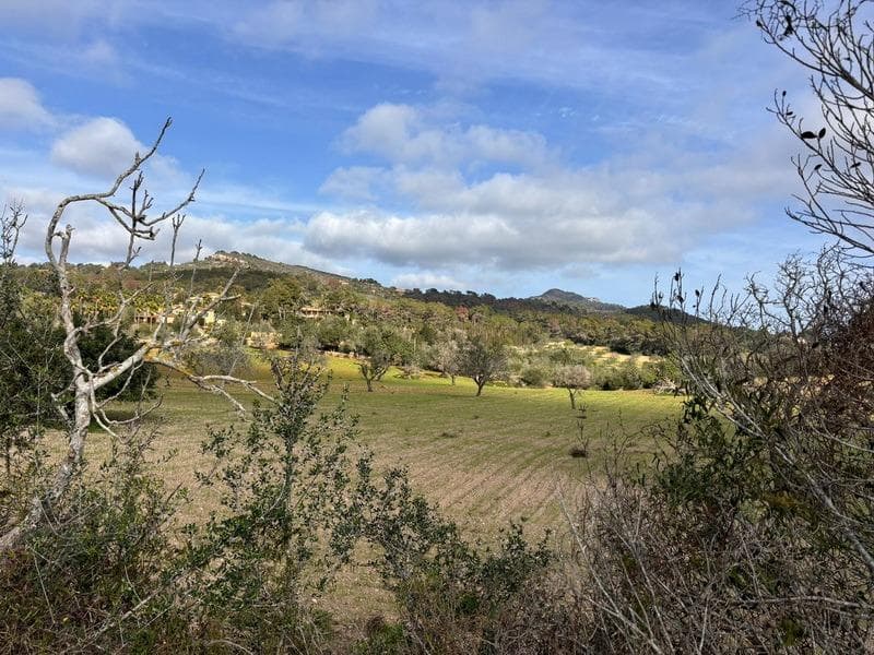 Exclusive Plot in the Hills of S’Alqueria Blanca, Santanyí – foto 4