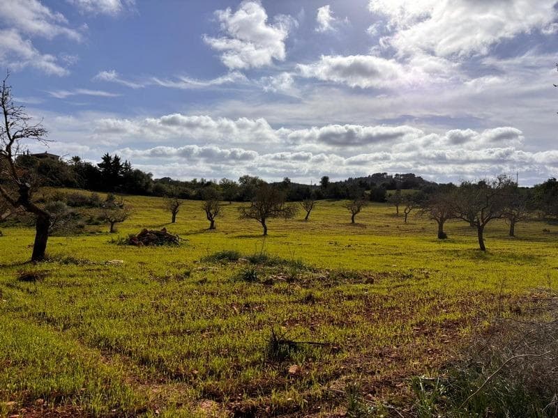 Exclusive Plot in the Hills of S’Alqueria Blanca, Santanyí – foto 5