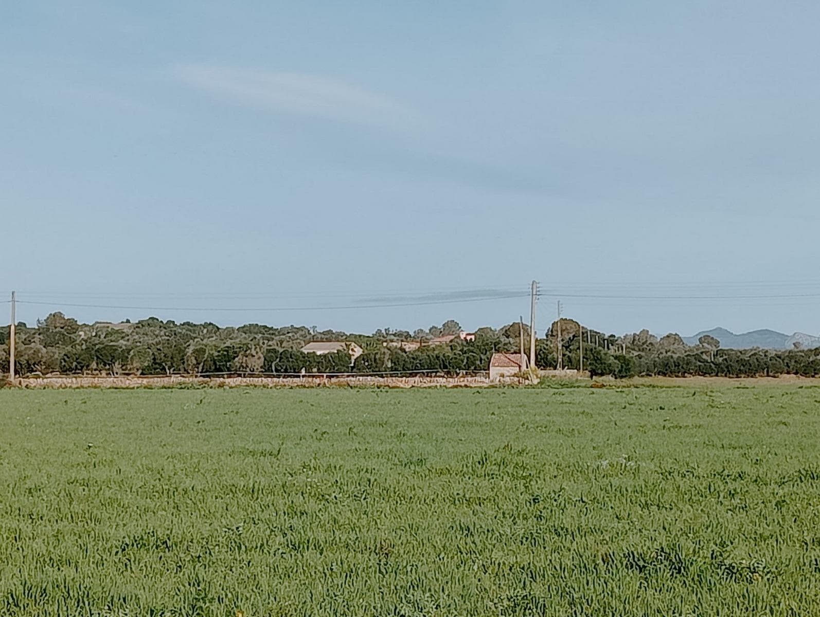 EXCLUSIVE PLOT WITH LUXURY VILLA PROJECT IN CAMPOS, NEAR ES TRENC – foto 3