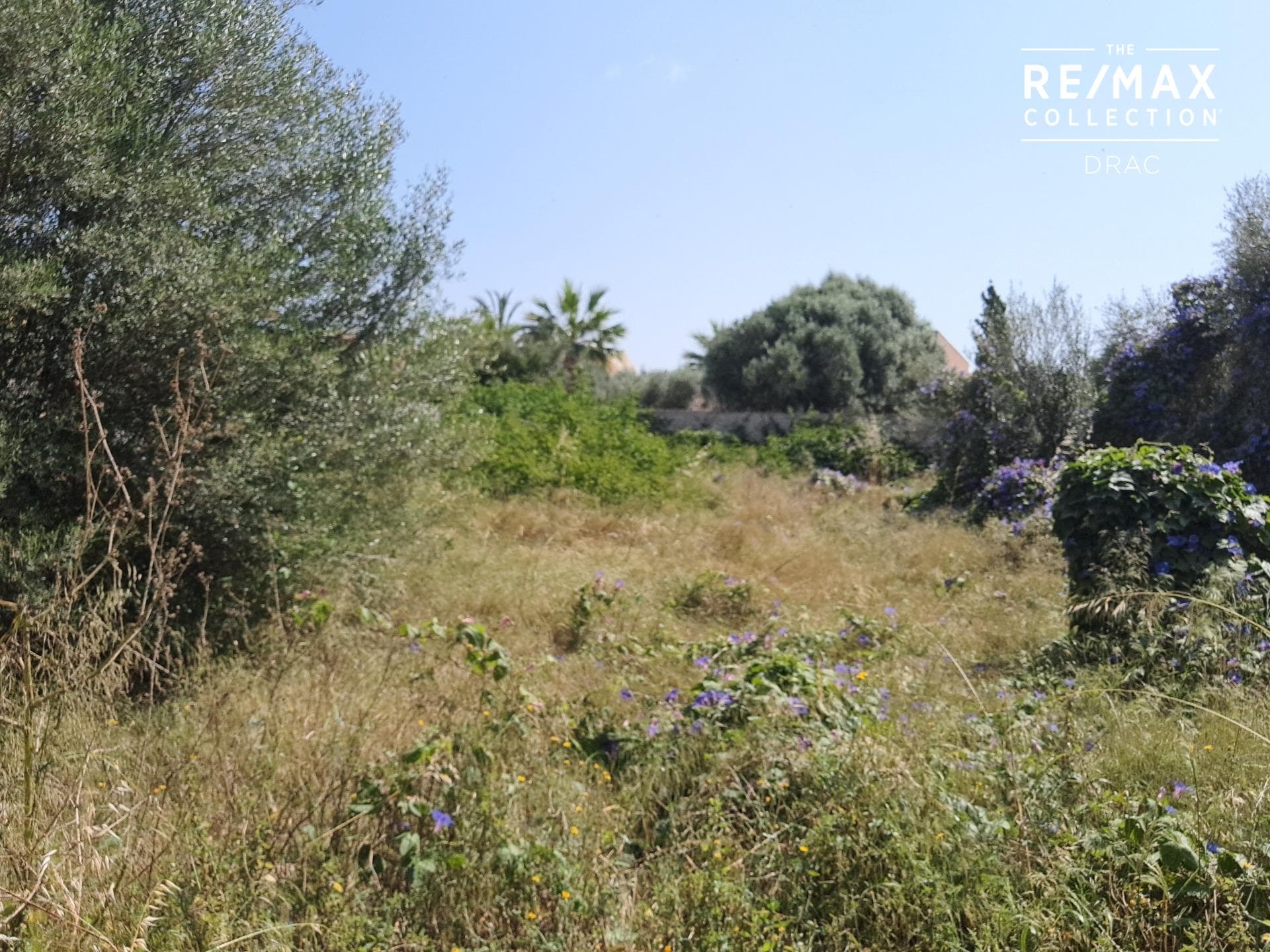 Building land available to construct and develop a beautiful project in Llombards, Santanyí – foto principal