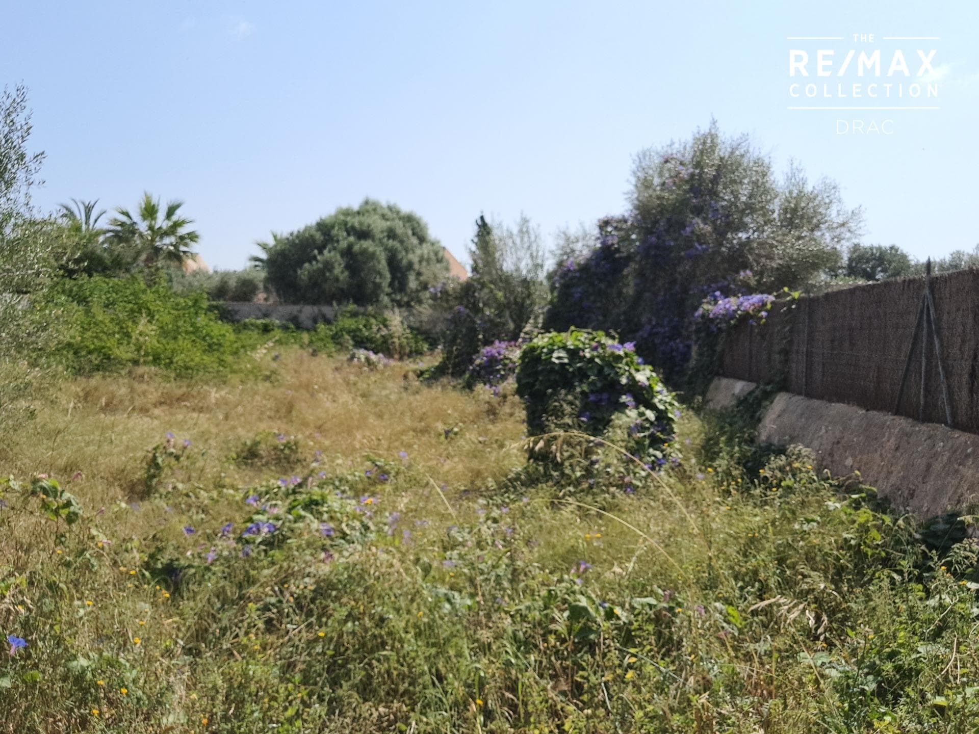 Building land available to construct and develop a beautiful project in Llombards, Santanyí – foto 2