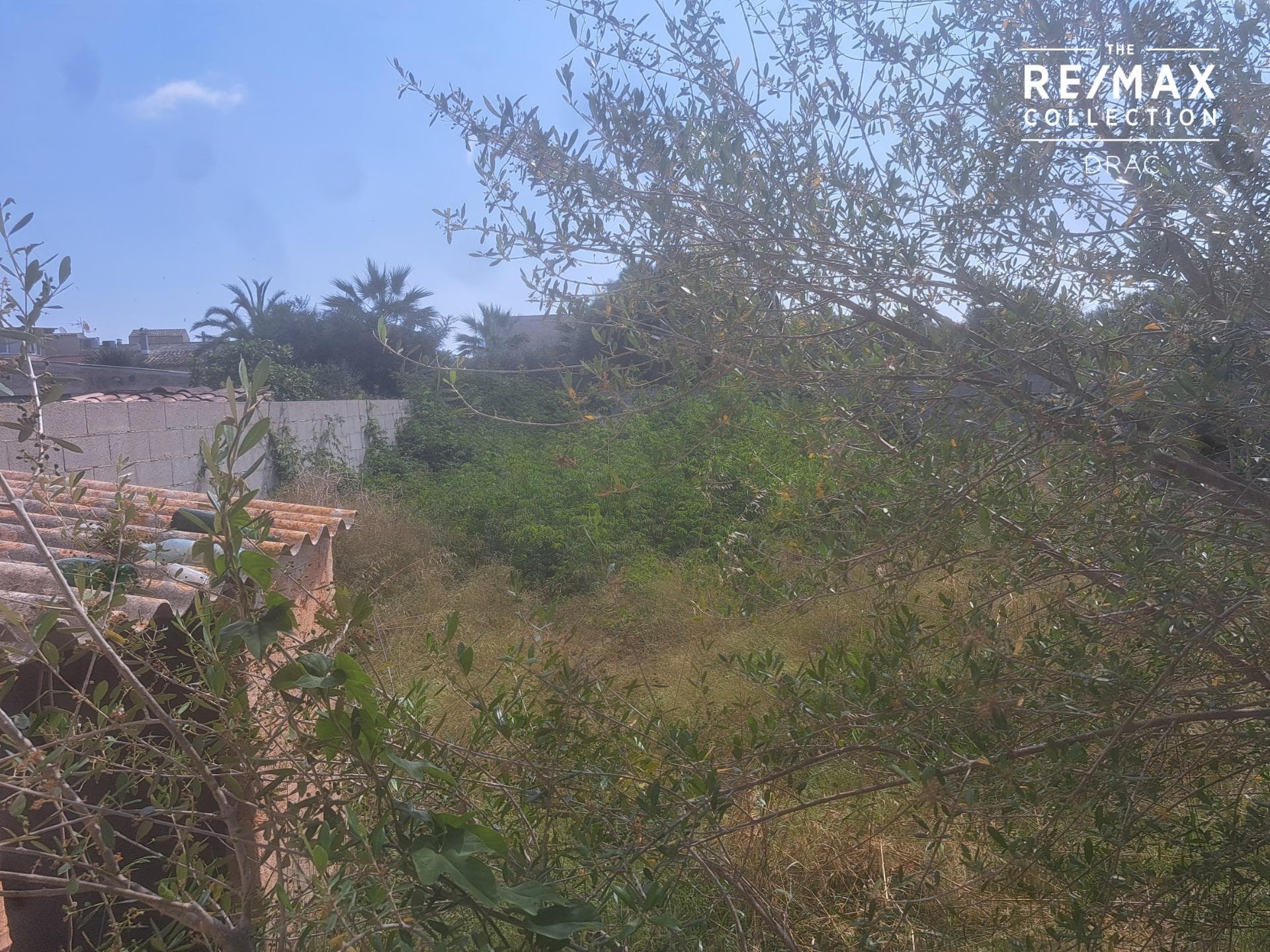 Building land available to construct and develop a beautiful project in Llombards, Santanyí – foto 4