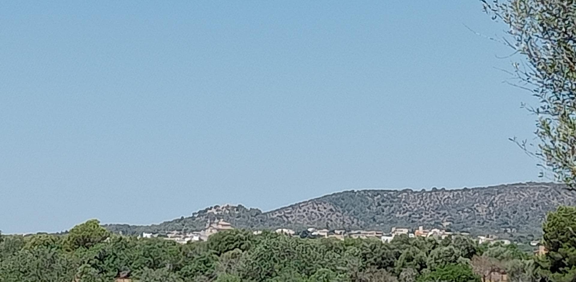 Oportunidad Única: Terreno con Proyecto en S'Alqueria Blanca – foto 2