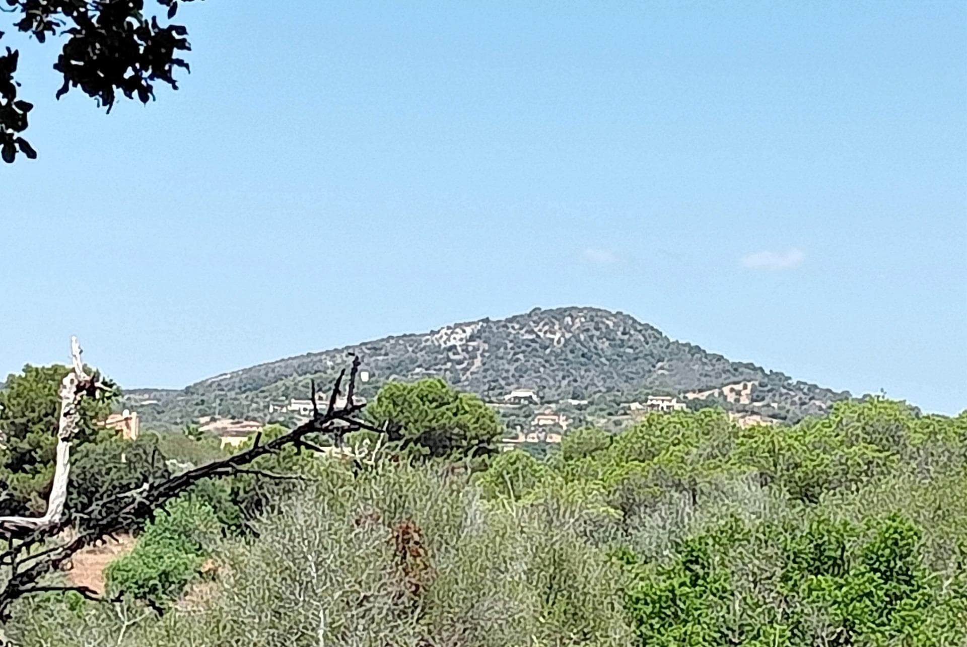 Oportunidad Única: Terreno con Proyecto en S'Alqueria Blanca – foto 3