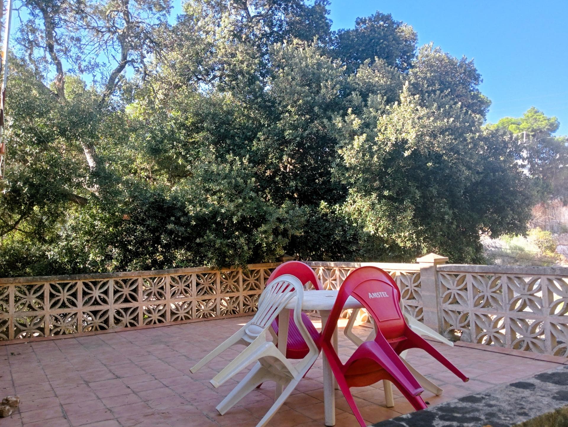 A blank canvas with potential: House with an independent studio to renovate on a rustic plot. – foto 2