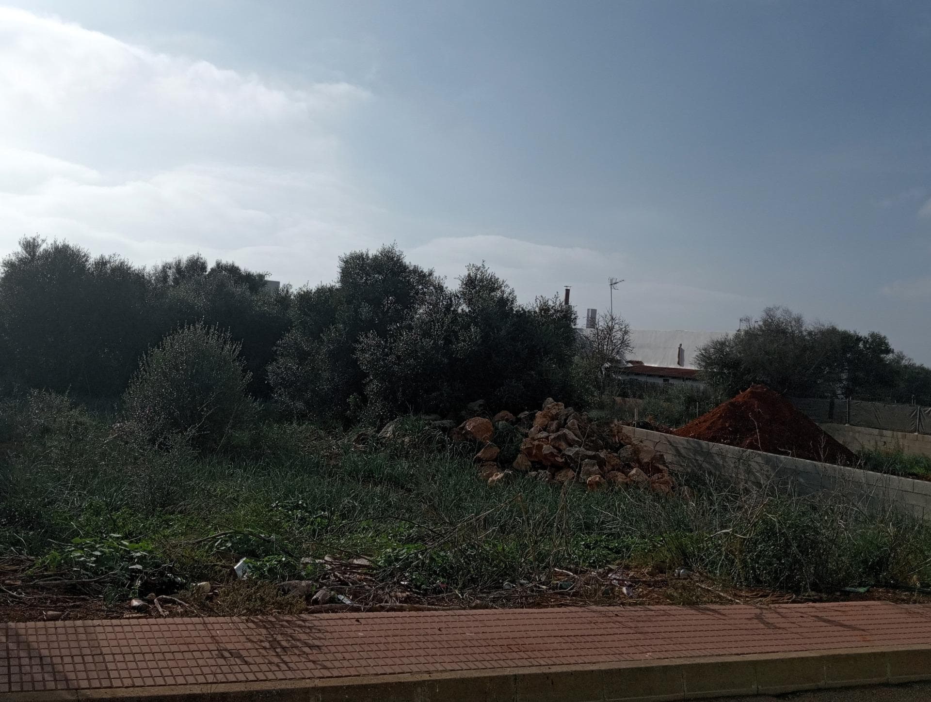 Strategische Investition in Santanyí: Grundstück für Gemeinschaftsprojekte im ruhigen Cala d'Or – foto 3