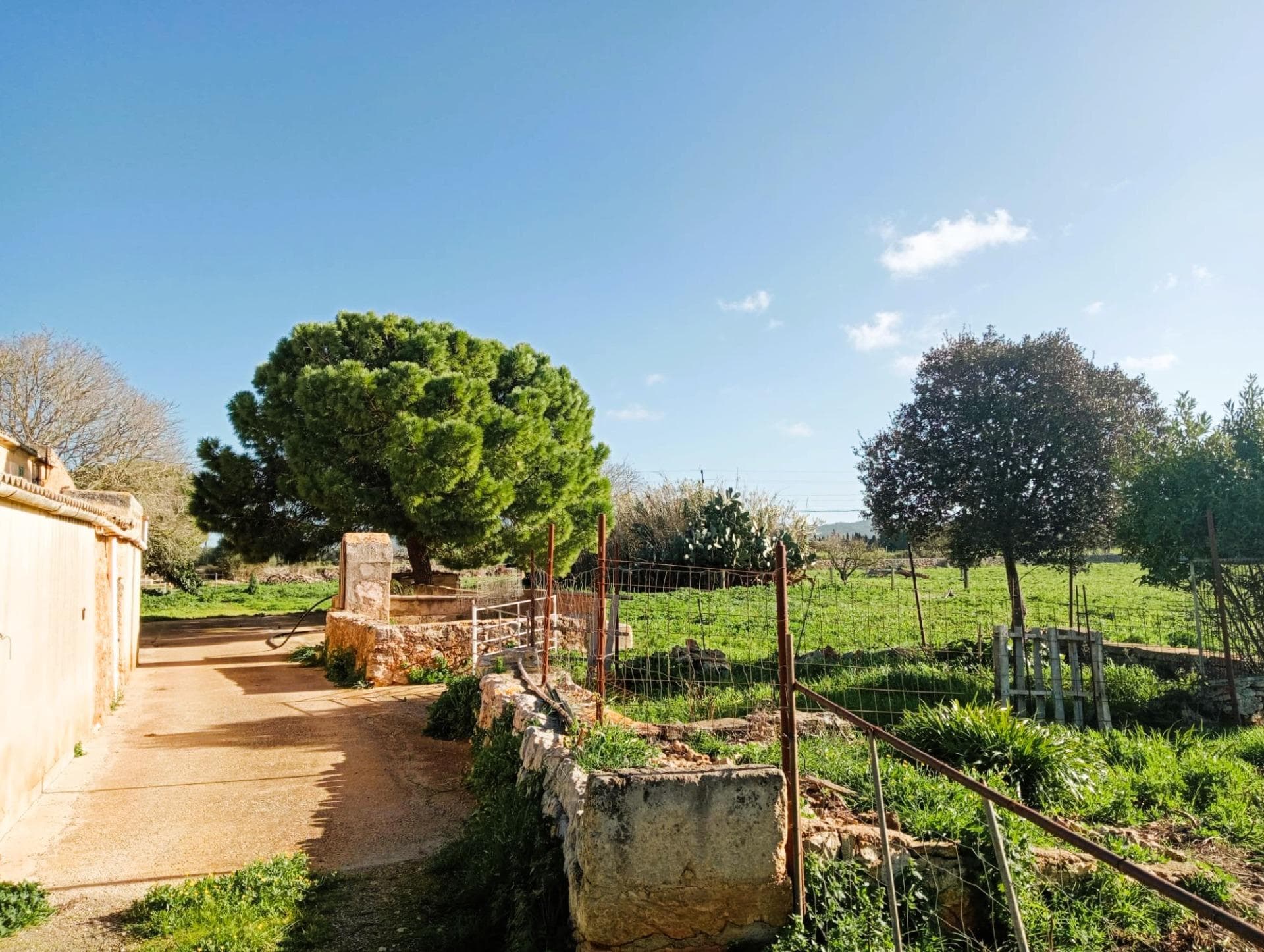 Auténtica Finca Mallorquina en Son Valls: Un Lienzo Histórico con Vistas a San Salvador – foto 5