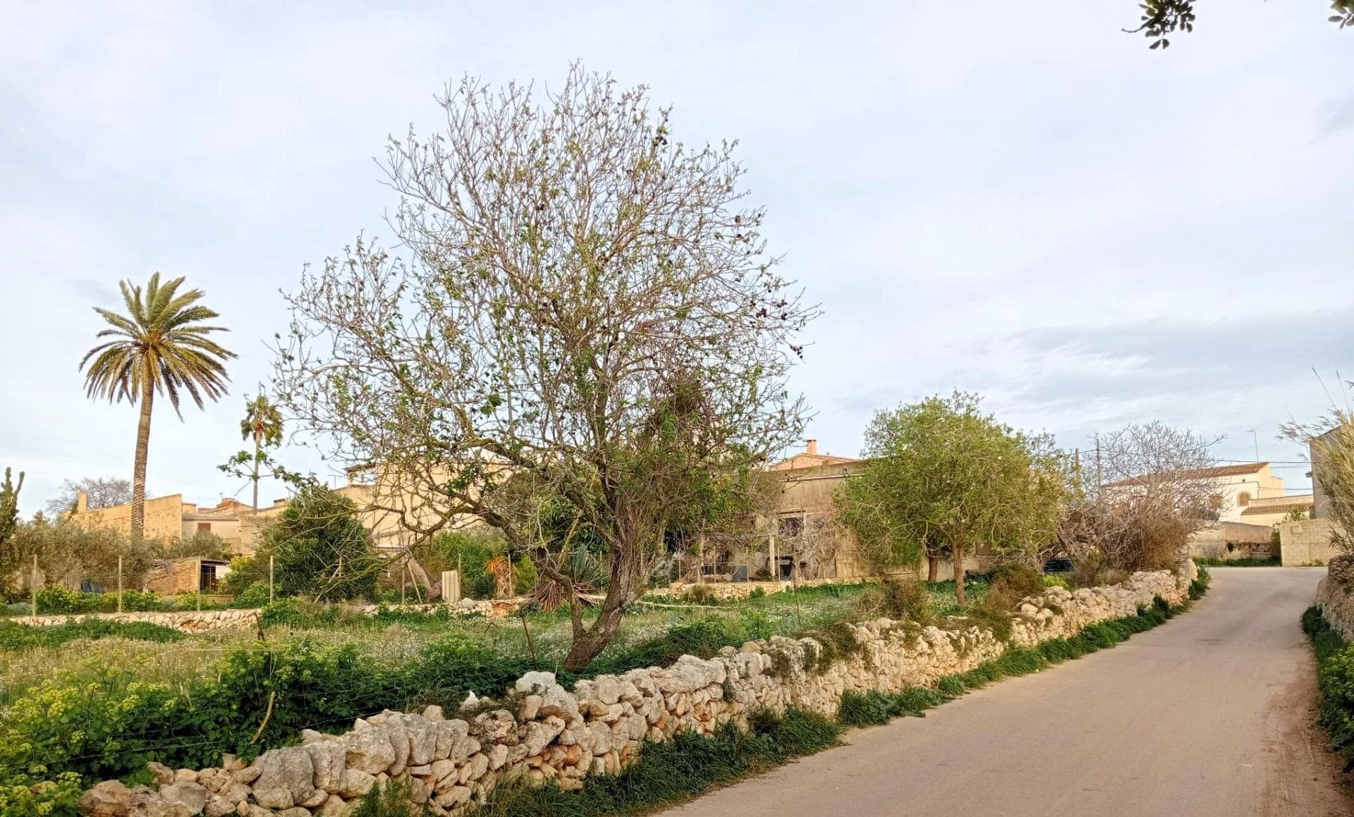 ¡Ocasión Única en S’Alqueria Blanca (Santanyi)! Solar en Esquina de 1.150 m². – foto 2