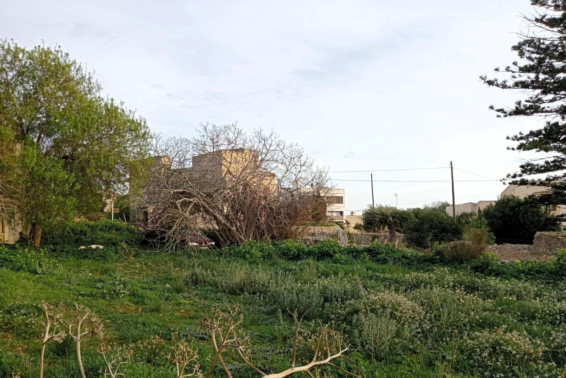 ¡Ocasión Única en S’Alqueria Blanca (Santanyi)! Solar en Esquina de 1.150 m². – foto 5