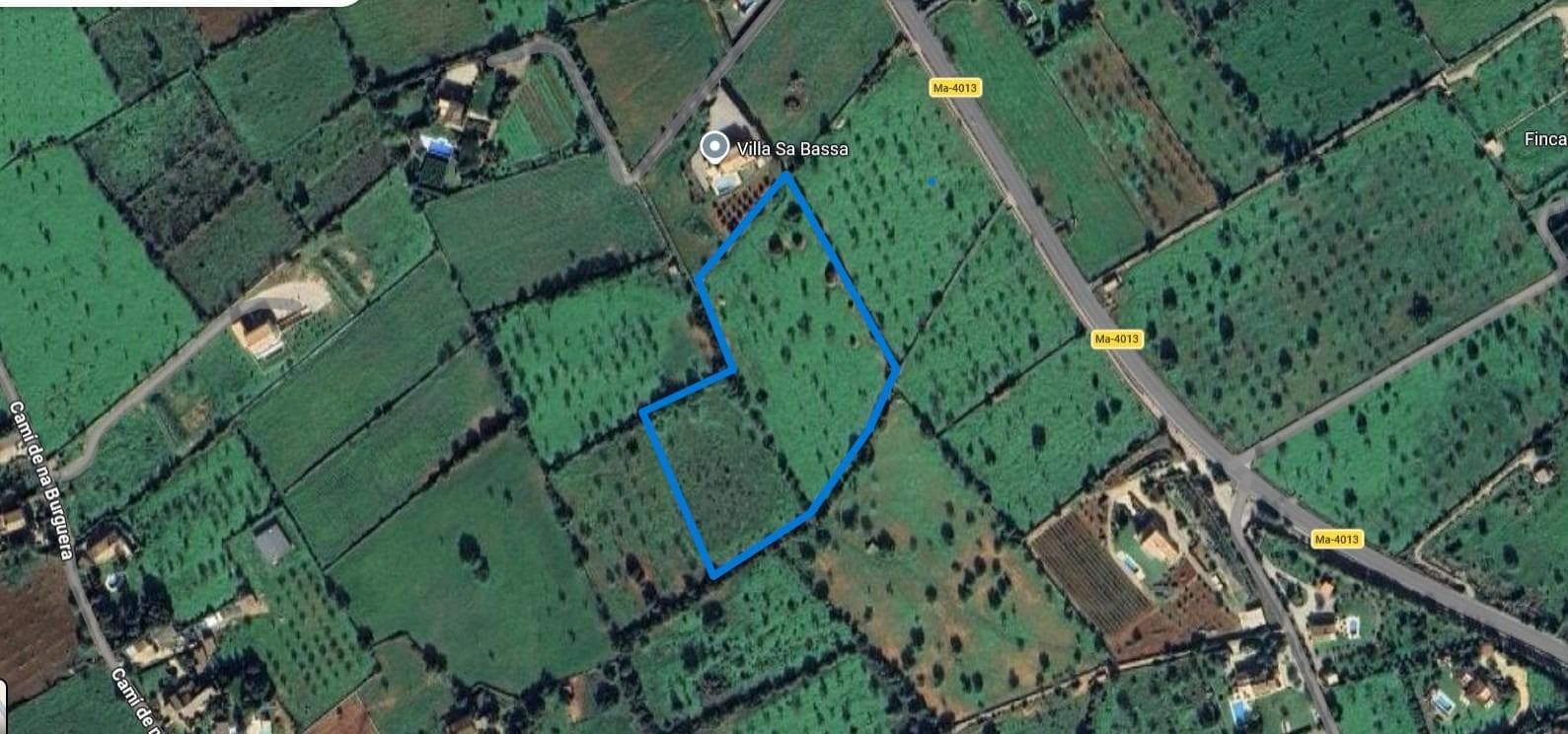 Domaine Exclusif de 20 000 m² avec Vue sur la Mer : Nature, Tradition et Connectivité entre Calonge et Cala d’Or (Santanyí). – foto principal