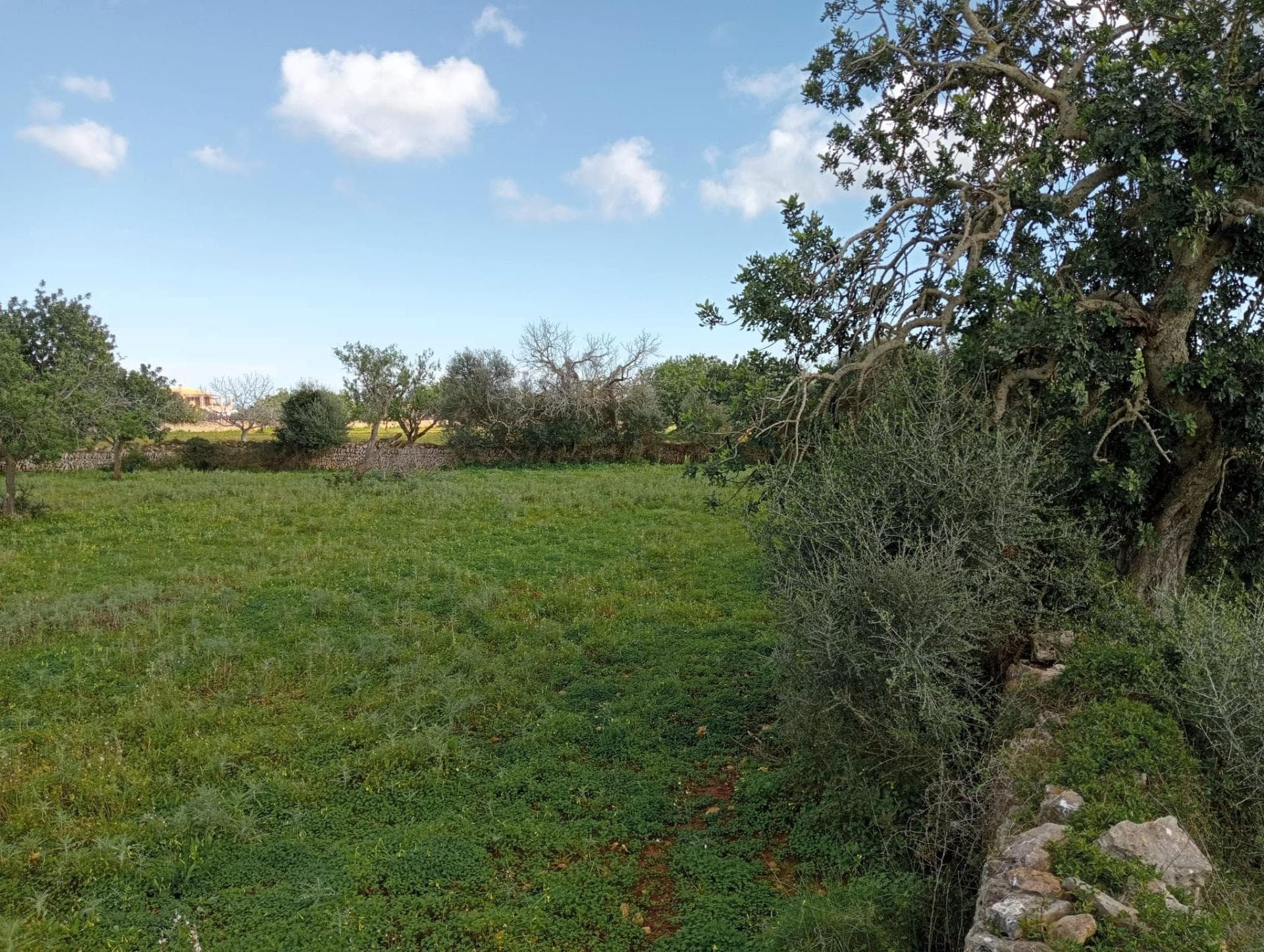 Domaine Exclusif de 20 000 m² avec Vue sur la Mer : Nature, Tradition et Connectivité entre Calonge et Cala d’Or (Santanyí). – foto 2