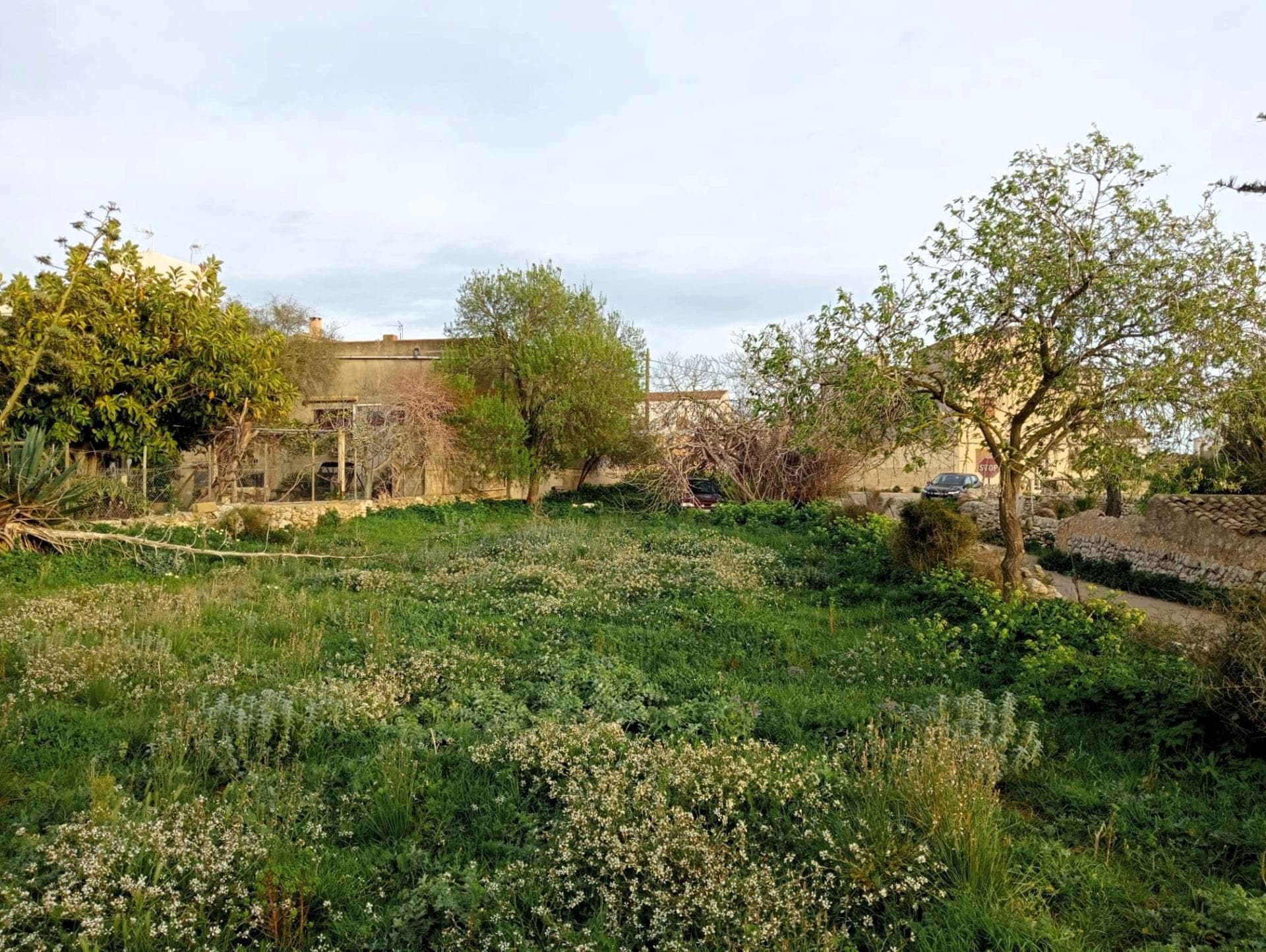 ¡Ocasión Única en S’Alqueria Blanca (Santanyi)! Solar en Esquina de 1.150 m².